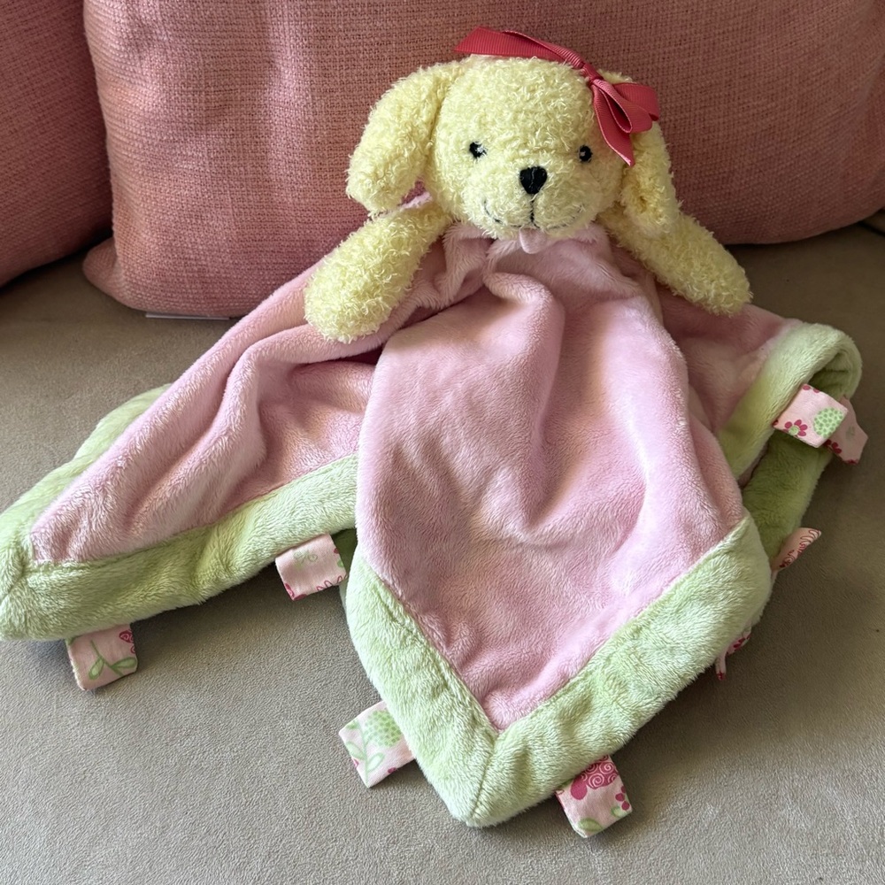 Pink and Green Plush Puppy Lovey Snuggly Security Blanket
